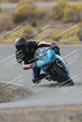 media/Nov-04-2023-2WTD (Sat) [[147bbb9217]]/B Group/1220pm (Outside Turn 2)/